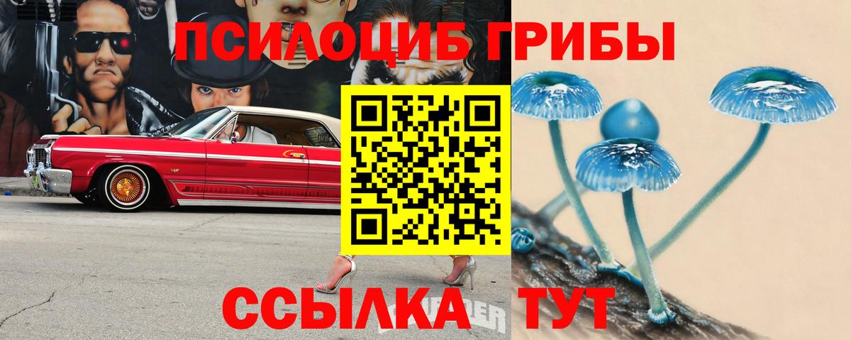 Нижний Тагил  Галлюциногенные грибы мухоморы  Вход с VPN 