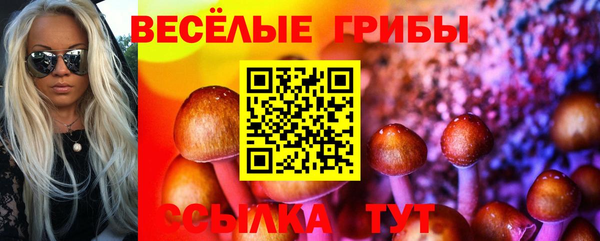 Псилоцибиновые грибы мухоморы Нижний Тагил